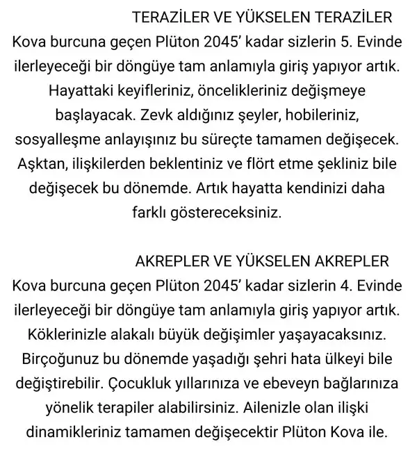 pl5 (4).webp