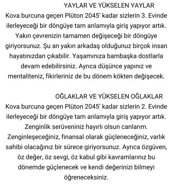 pl5 (5).webp