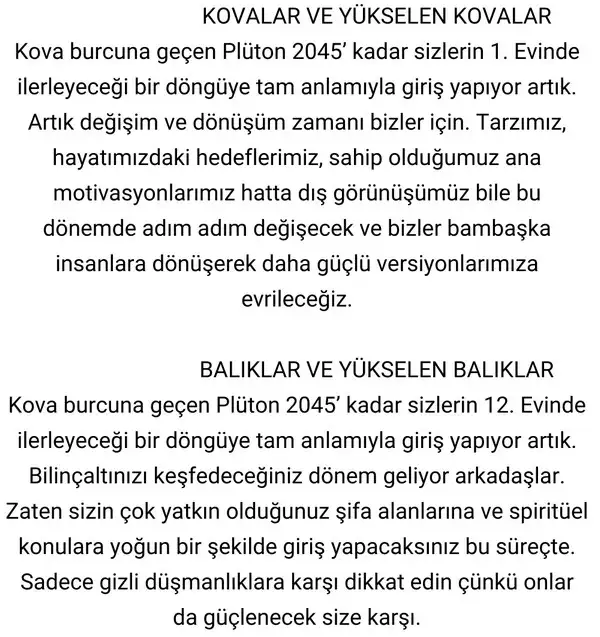 pl5 (6).webp