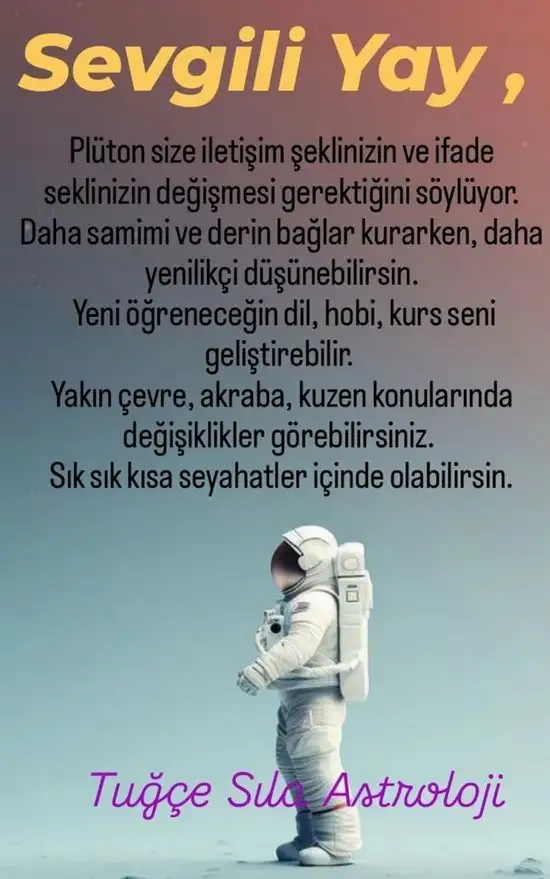 pl6 (10).webp