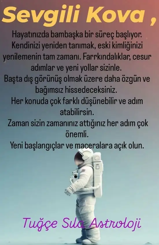 pl6 (12).webp