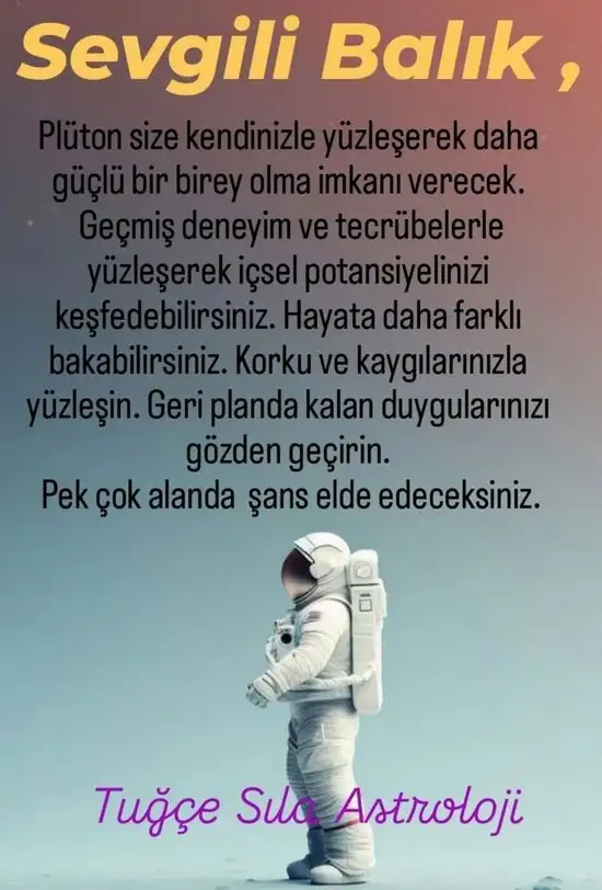 pl6 (13).webp