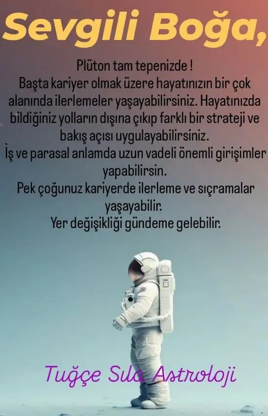 pl6 (3).webp