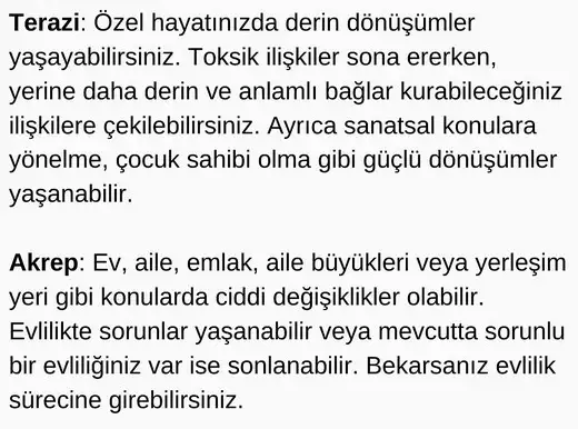 pl6 (4).webp