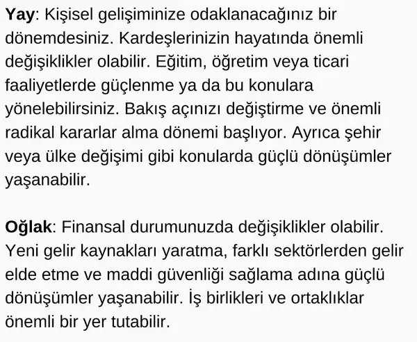 pl6 (5).webp
