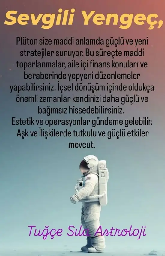 pl6 (5).webp