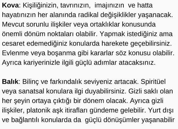 pl6 (6).webp