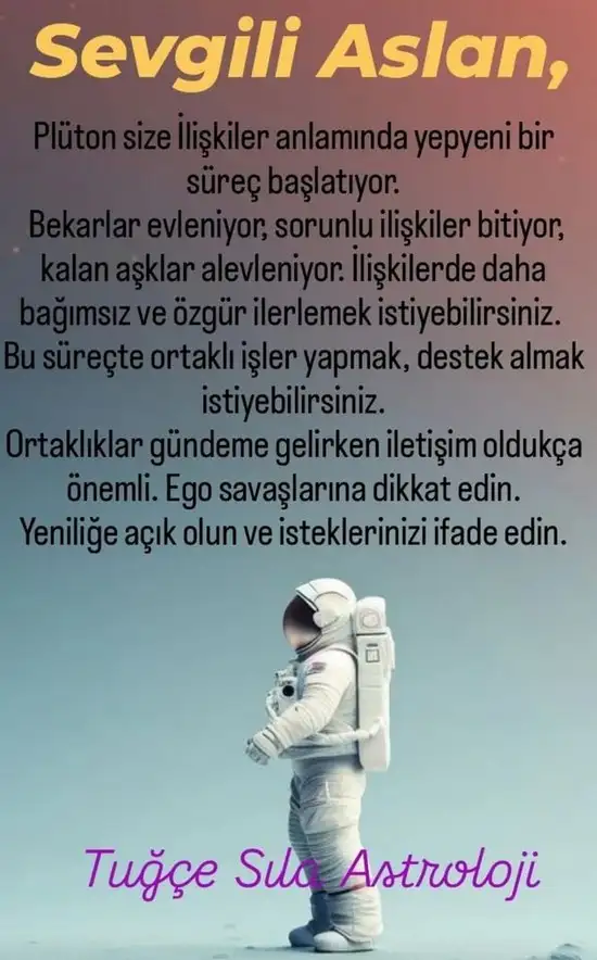 pl6 (6).webp