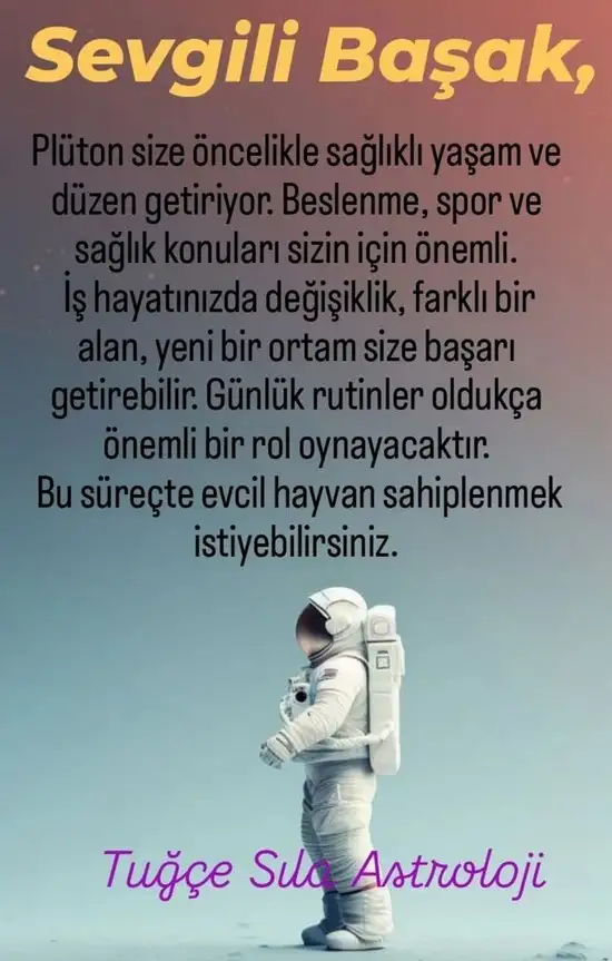 pl6 (7).webp