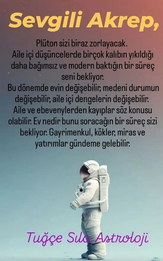 pl6 (9).webp