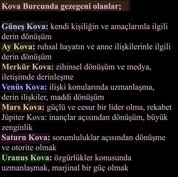 pl7 (2).webp