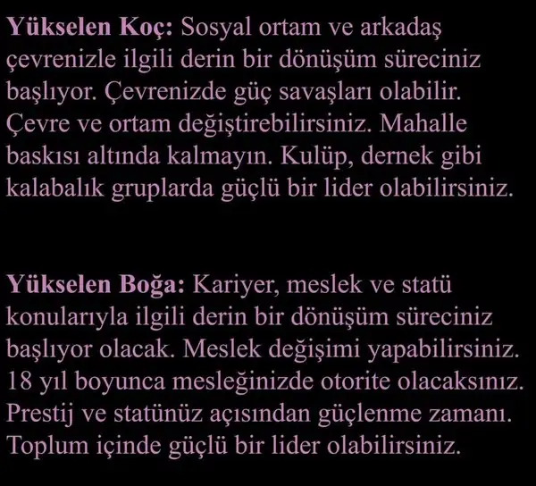 pl7 (3).webp