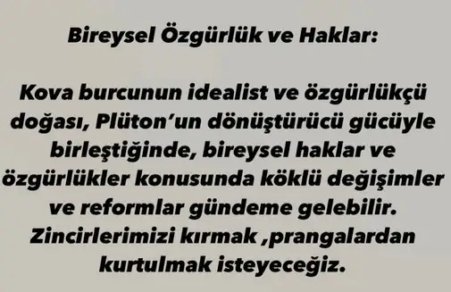 pl7 (4).webp