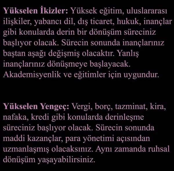 pl7 (4).webp