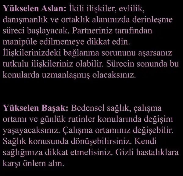 pl7 (5).webp