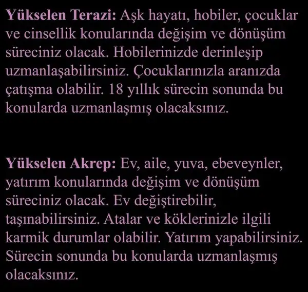 pl7 (6).webp