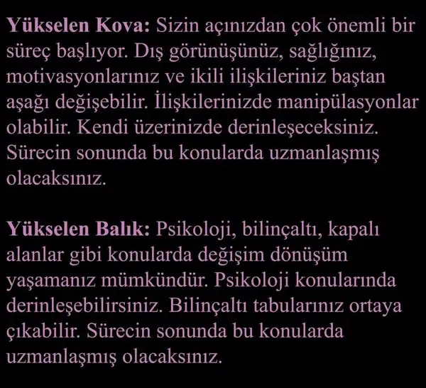 pl7 (8).webp
