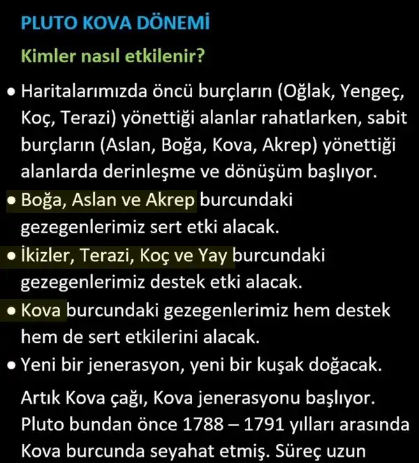 pl8 (11).webp