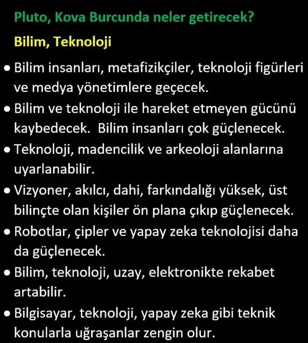 pl8 (15).webp