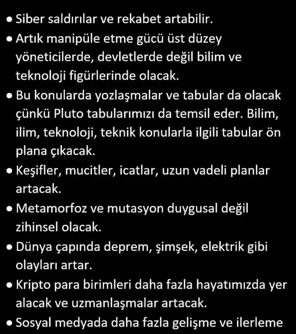 pl8 (16).webp
