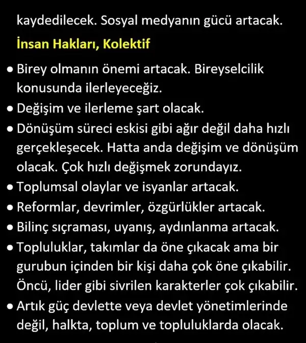 pl8 (17).webp