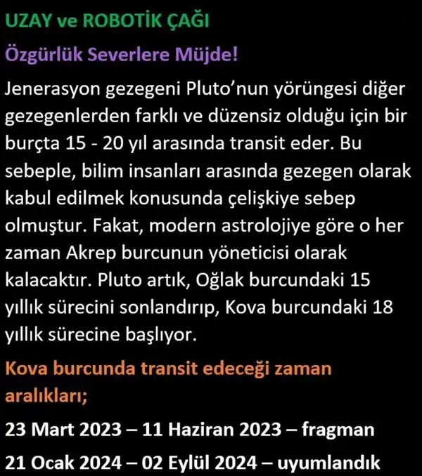 pl8 (2).webp