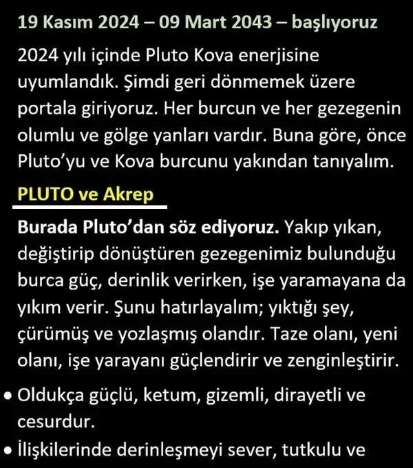 pl8 (3).webp