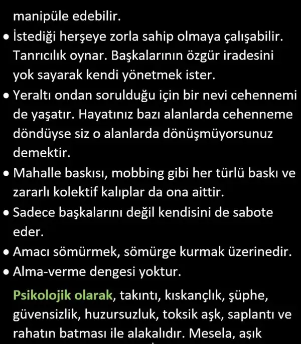 pl8 (5).webp
