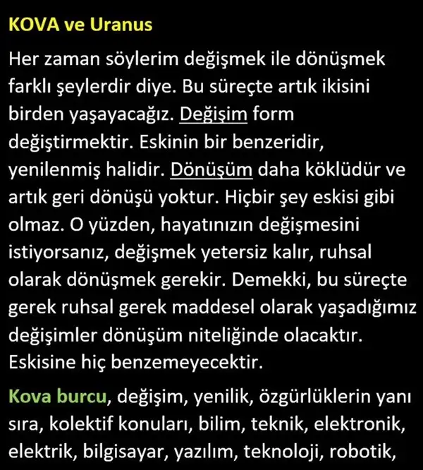 pl8 (7).webp