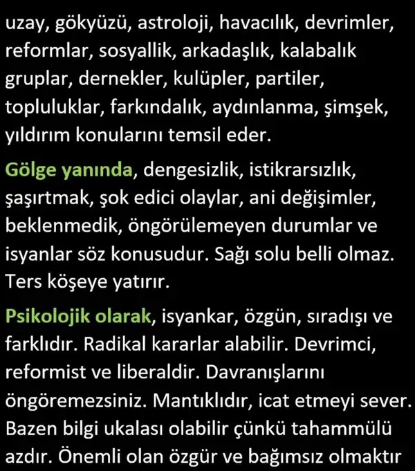 pl8 (8).webp