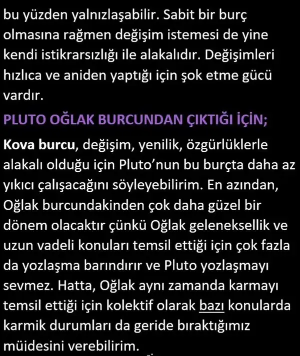 pl8 (9).webp