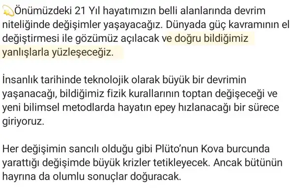 pl9 (13).webp