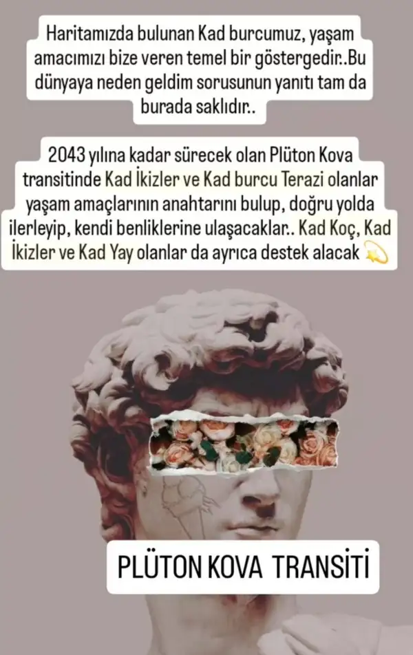 pl98 (1).webp