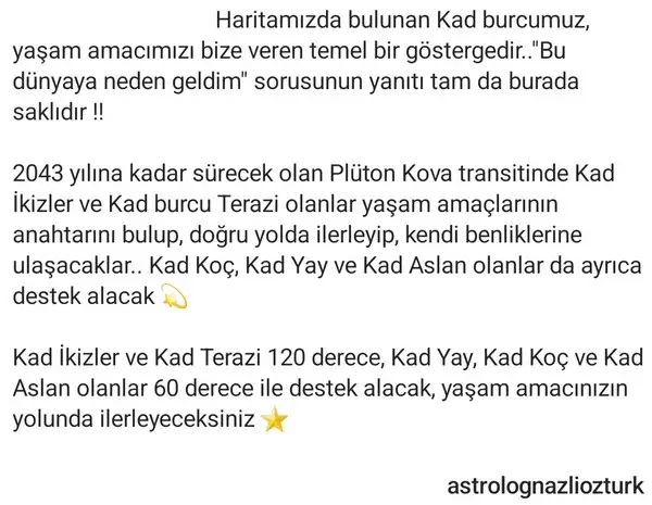 pl98 (2).webp