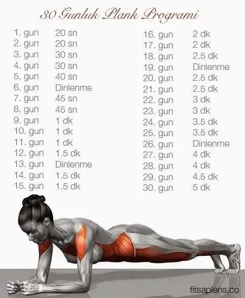 plank.webp