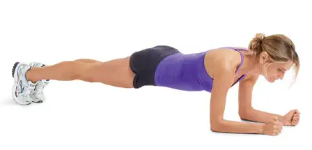 planks333354555555.webp
