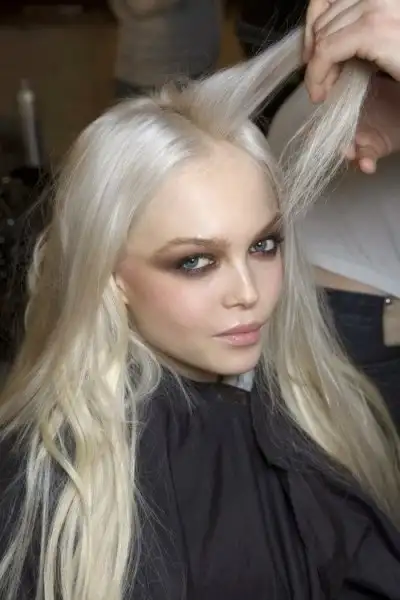 Platinum-hair.webp