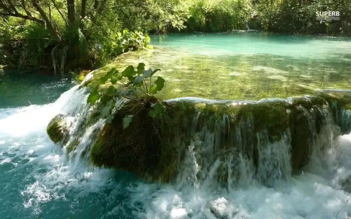 plitvice-lakes-national-park-25815-1280x800.webp