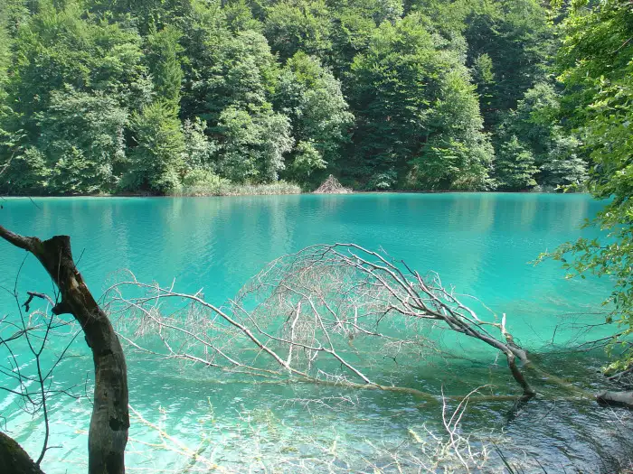 plitvice_lakes_national_park_-_plitvic48dka_jezera_july_2008.webp
