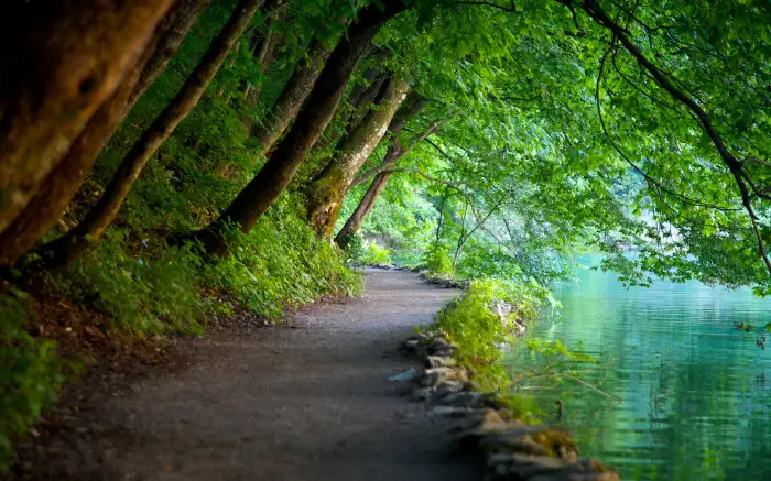 plitvice_lakes_national_park_picture.webp