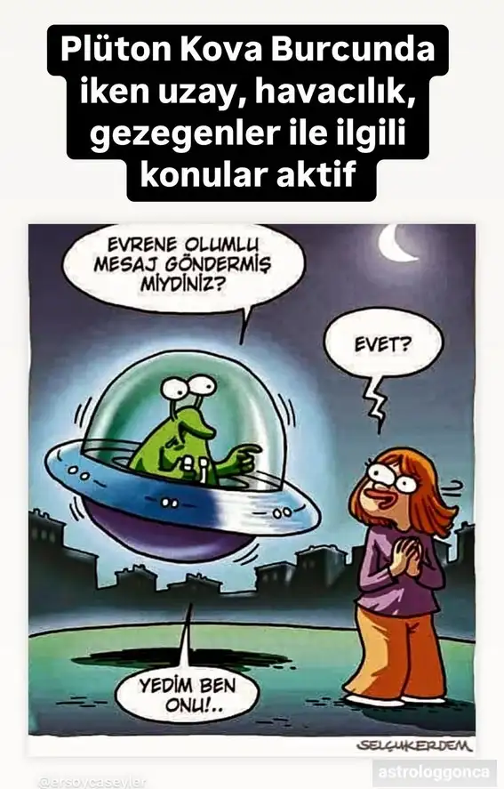 plkova.webp