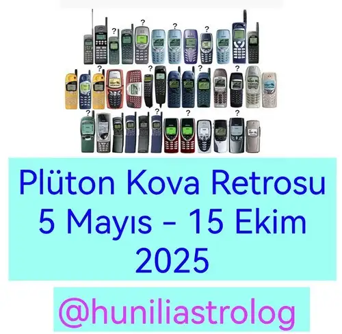 pltkov (1).webp