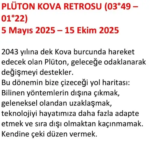 pltkov (2).webp