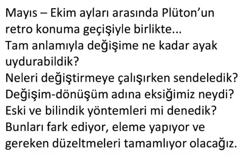 pltkov (3).webp