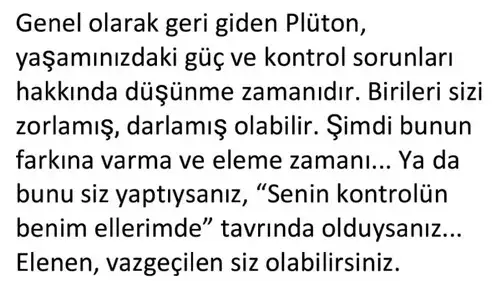 pltkov (4).webp