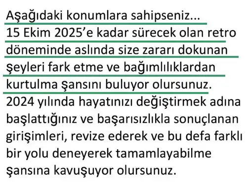 pltkov (5).webp