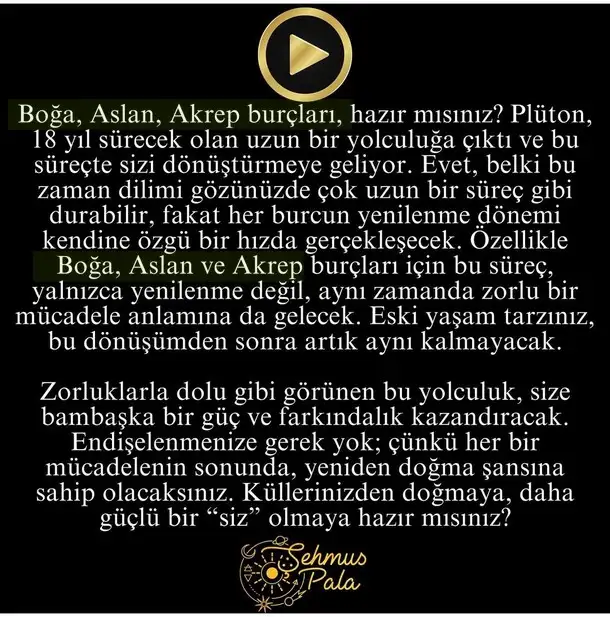 plü kov.webp
