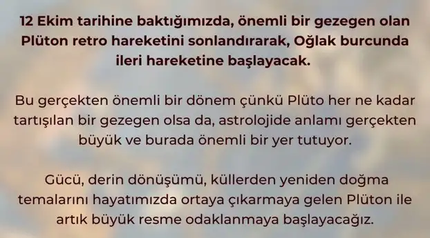 plü oğlak (1).webp