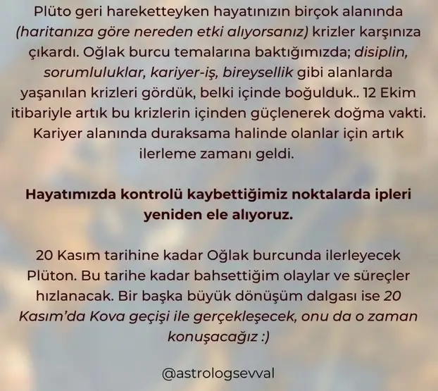 plü oğlak (2).webp