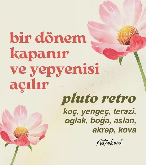plu ret (1).webp